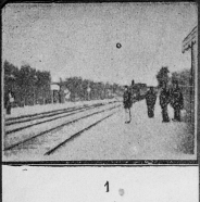 /selection_train/TPF_001